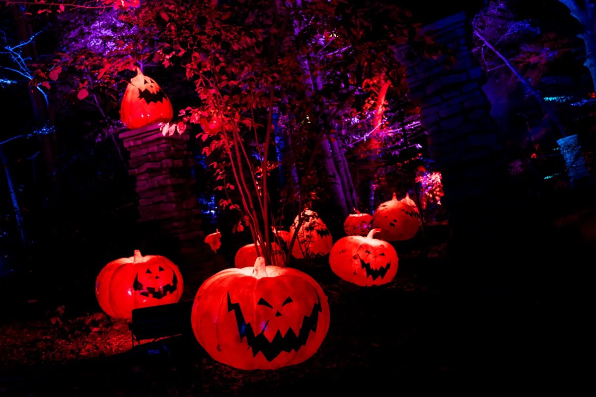 Garden of Shadows: Fairchild's Haunted Halloween Crawl