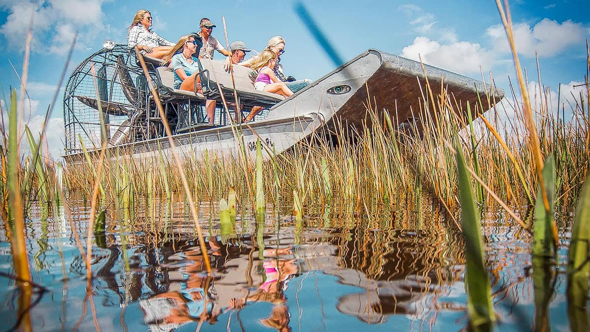 An airboat carrying passengers through the sawgrass on the Everglades National Park tour