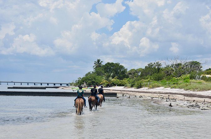 Riders on horseback walking through the shallow ocean water at Virginia Key Beach